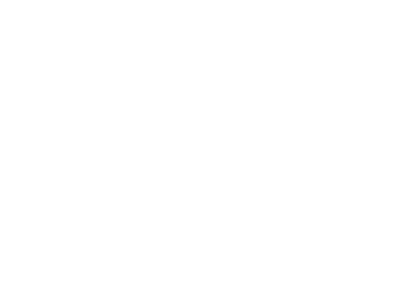 Lassostudios