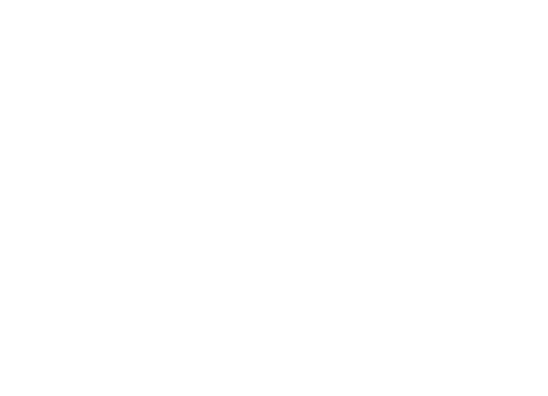 MoGi Group