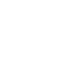 Digital Reef